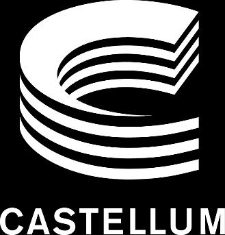 Finansdirektör, Castellum AB