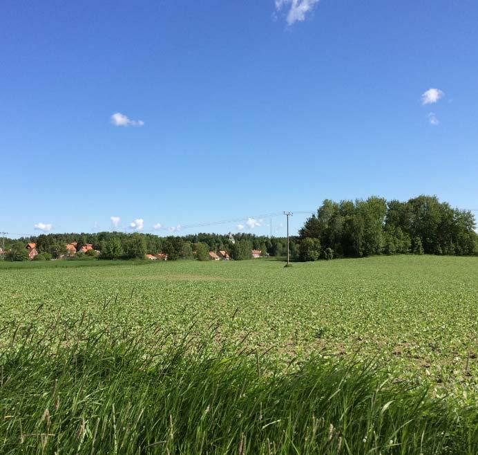 2018-01-16 PLAN.2015.6 3 (15) stationssamhälle, Ringarums kommun, Östergötlands län från 1958-06-28, med ändamålet park och gata.