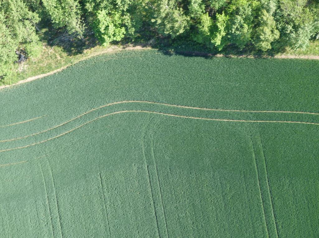 Precisionsodling (eller egentligen lite om användning av drönare i jordbruket och