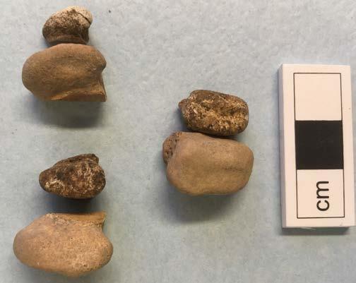 Grop AG50566, västlig grop inom hus 4. Fyndnummer 304. Totalt 160,2 g brända ben, eller drygt 17 cl. Här fanns flera fragment som gick att bestämma till element och art.