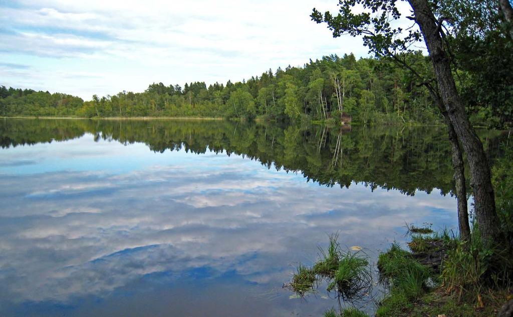 Omvärldsanalys Nya föreskrifter från Havsoch vattenmyndigheten Havs- och vattenmyndigheten har den 4 juli 2013 beslutat om nya föreskrifter för klassificering och miljökvalitetsnormer avseende