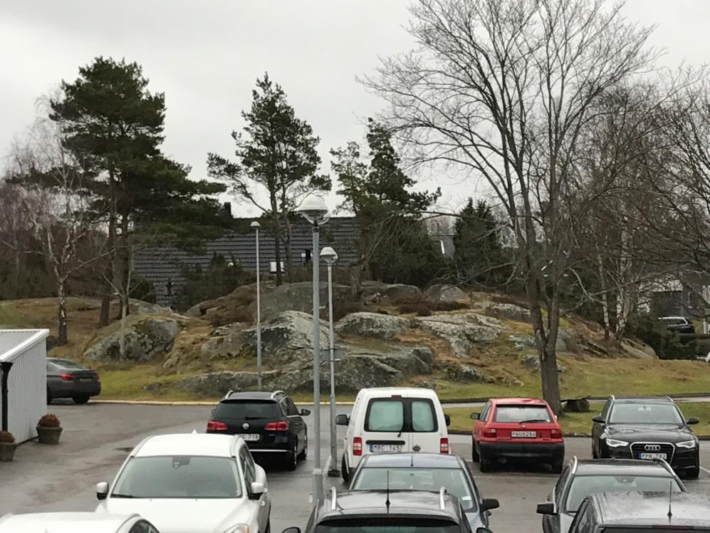 Vi har goda exempel på hur dessa riktlinjer redan är omsatta i praktiken inom delar av