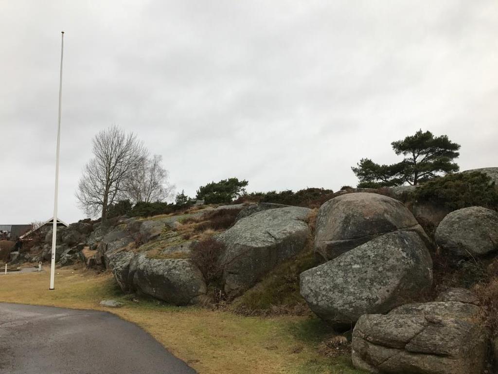De vackra bergspartierna tydliggörs när växtligheten har gallrats hårt.