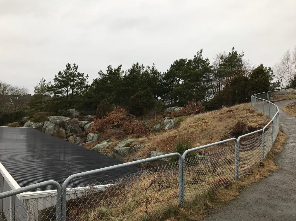 Dessa goda exempel bör stå som referens för