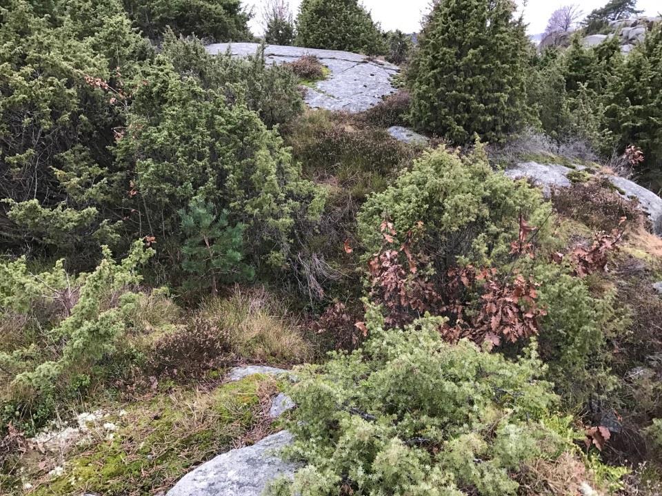 sådant som måste tas bort