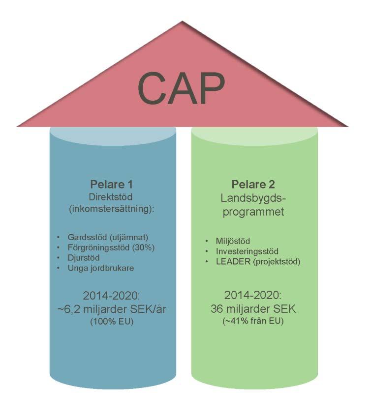 Blad 4 Mot en evidensbaserad CAP Juliana Dänhardt, Henrik G.