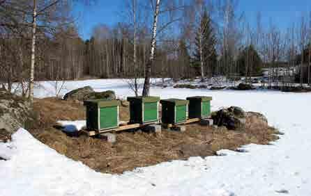Lugn plats utan kraftigt buller, markvibrationer eller dropp från träd. Välj gärna en plats längs kanten på öppna fält, med skogen i ryggen.