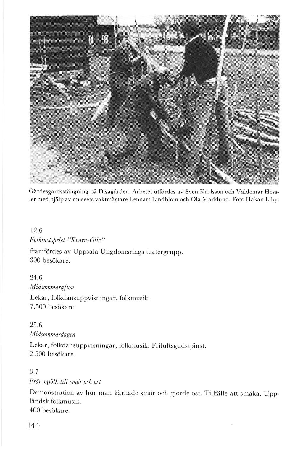 Gärdesgårdsstängning på Disagården. Arbetet u tfordes av Sven Karlsson och Va ldemar Hessler med hjälp av museets vaktmästare Lennart Lind blom och Ola Marklund. Foto Håkan Liby. 12.