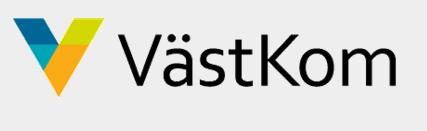 Anneli Assmundson Bjerde, beredning VästKom Övriga deltagare: Ida Wernered, p. 4 Lise-Lotte Risö Bergerlind, Malin Camper, p.7 Tid: kl. 13