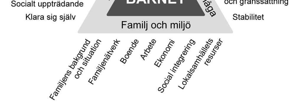 De andra två sidorna utgörs dels av sju olika behovsområden hos barnet och dels av sex aspekter av föräldraförmåga.