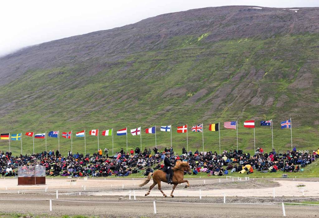 Numera hittas islandshästen över hela världen. Över 250 000 hästar är registrerade i över 20 länder, varav cirka 40% på Island.