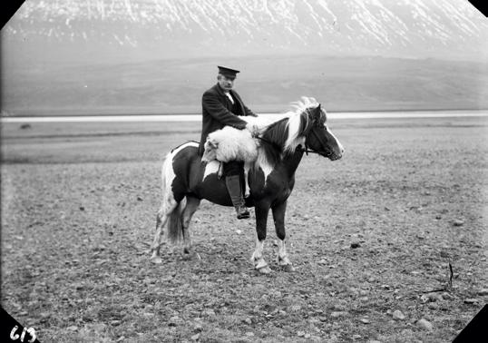 Källor berättar att det vid den tidpunkten fanns en ras i norra Europa som kallades Equus Scandinavicus och vissa hävdar att den isländska hästen är en ättling till denna ras.