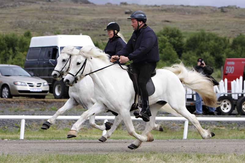 Töltens smidighet är vad som gör den så populär. Vid uppvisningar visas ofta hästarna upp med en ryttare som håller ett välfyllt glas i ena handen och tyglarna i den andra, och inte en droppe spills.