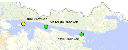 5.5.3 Marinbiologiska naturvärden Allmänna förhållanden i Bråviken och erfarenheter från tidigare projekt Undervattensväxter har en central del för den biologiska mångfalden i vattnet.