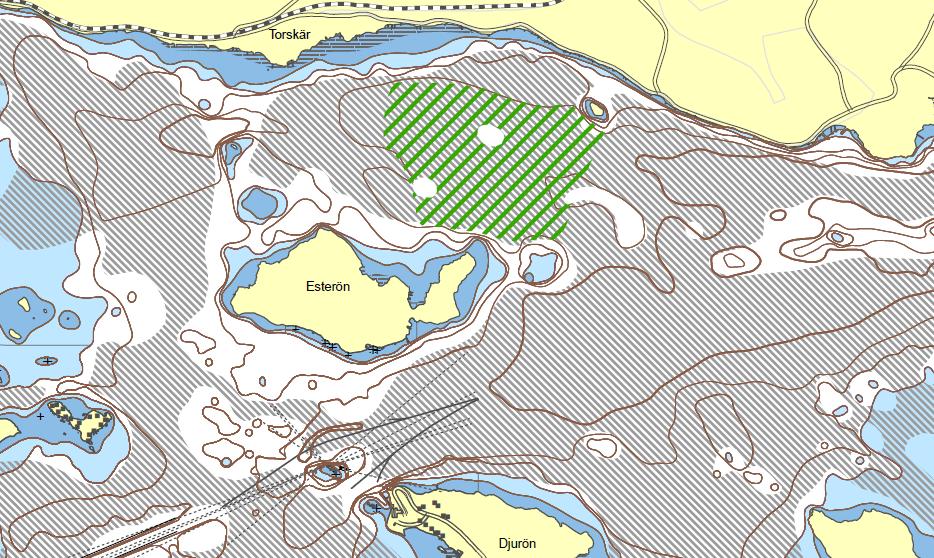 Figur 28. Planerat dumpningsområde B (grönstreckat område). I figuren framgår också områden som av SGU bedömt ha recent sedimentation (svartstreckade områden).