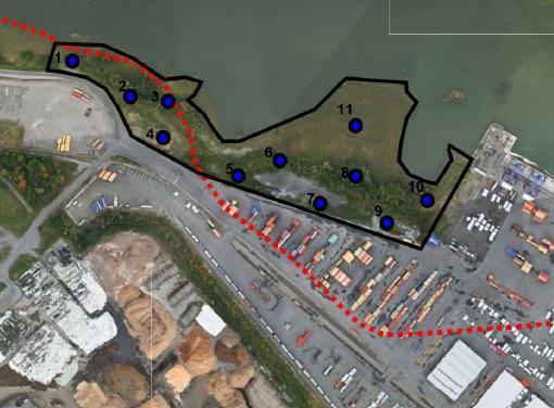 6.2 Markundersökning under blivande hamnplan I det område för blivande hamnplan som behöver muddras/schaktas har en markundersökning utförts (Bilaga B12).