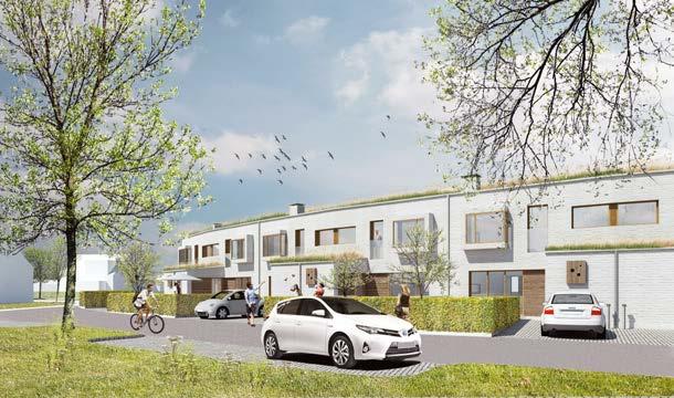 Träden runt dagens torgyta kommer att försvinna men ska ersättas inom planområdet eller i dess närhet. Brynbuskage och gräsmattor har låga biologiska värden och kan ersättas.