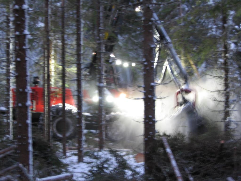 Rätt metod slutavverkning (RMSA) Utvärdering om skillnader för