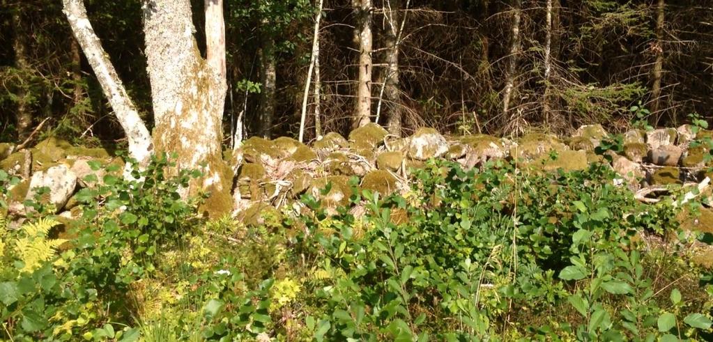 naturvården. Kroksån utgör viktigt reproduktionsområde för öringen men hyser även i övrigt värdefulla biotoper som storslagna kvillområden. I den sydöstra delen av planområdet finns en stengärdesgård.