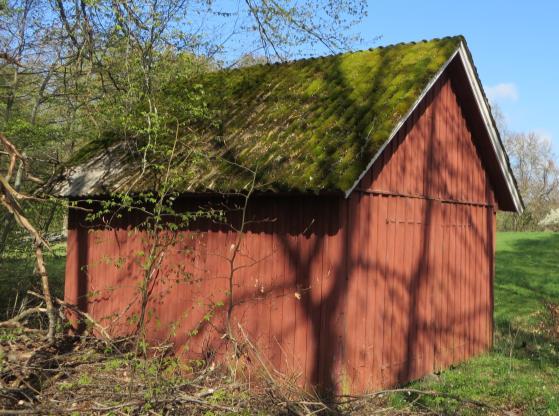Carl-Hjalmar i Hulan.