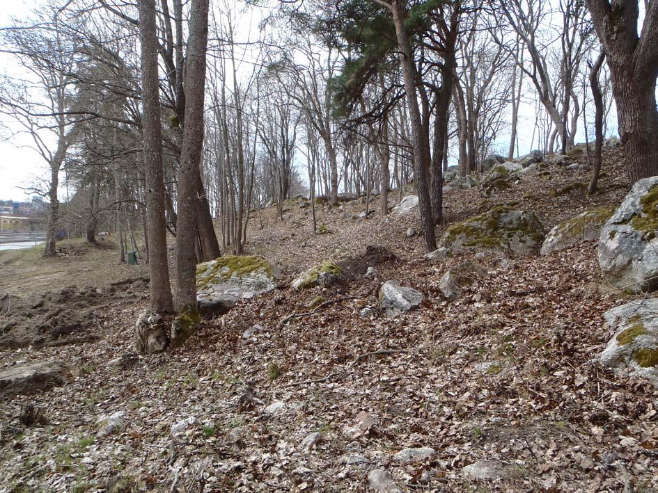 Figur 3. Den branta slänten i undersökningsområdets södra del. Gravfältet 211 längst till vänster. Foto från N. glaciallera.