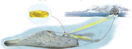 All fishing vessels have navigational AIS plotter and fishery track plotter systems (with information on all known obstructions and wrecks, pipelines and fishing grounds).