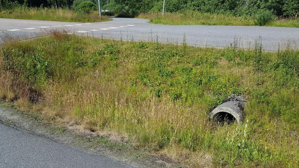 Planområdet mot sydöst. Vid planområdet finns flera befintliga diken.