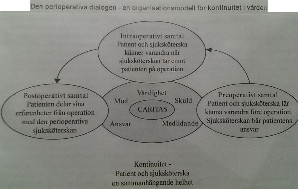 Postoperativt är tiden efter operationen då patienten vårdas på en dagkirurgisk avdelning, en vårdavdelning, en uppvakningsavdelning eller en intensivvårdsavdelning.