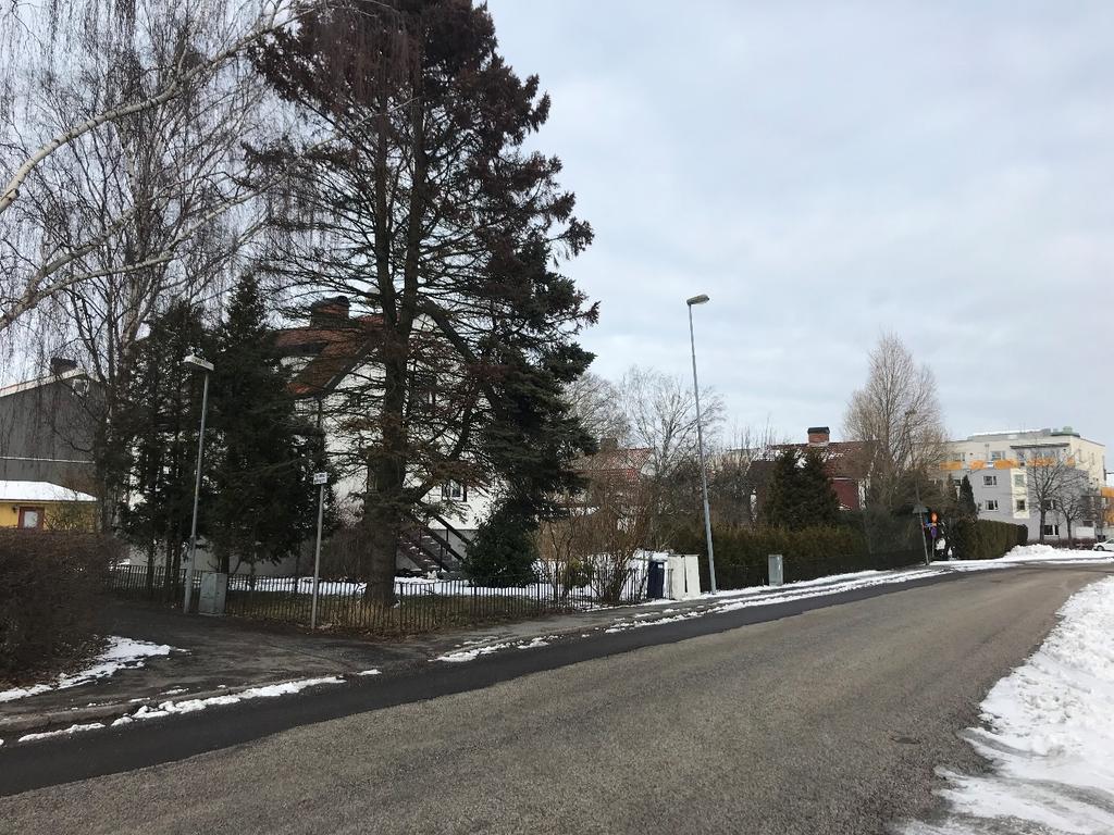 Förutsättningar Foto taget från Terrakottagatan Mark och vegetation Marken inom fastigheten Linné 6 utgörs av en plan gräs- och trädbevuxen villaträdgård.