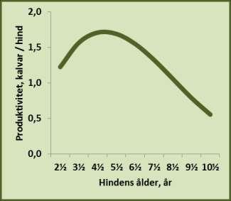 3.3 Stammens åldersfördelning Hjortdjuren kan vara förhållandevis långlivade och med stigande ålder påverkas deras egenskaper väsentligt.