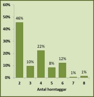 Ungefär 25 procent av de 1½ åriga hjortarna har nämligen horn med 2 taggar som är kortare än 13 centimeter, vilket är cirka 2/3 delar av örats längd.