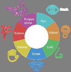 Sinnesintryck perception Diagnos- och erfarenhetsgrupp