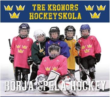 9 Riktlinjer för respektive åldersblock Skridsko och hockeyskolan Inriktning mot glädje Föreningen har som ambition att få så många barn som möjligt att börja åka skridskor.