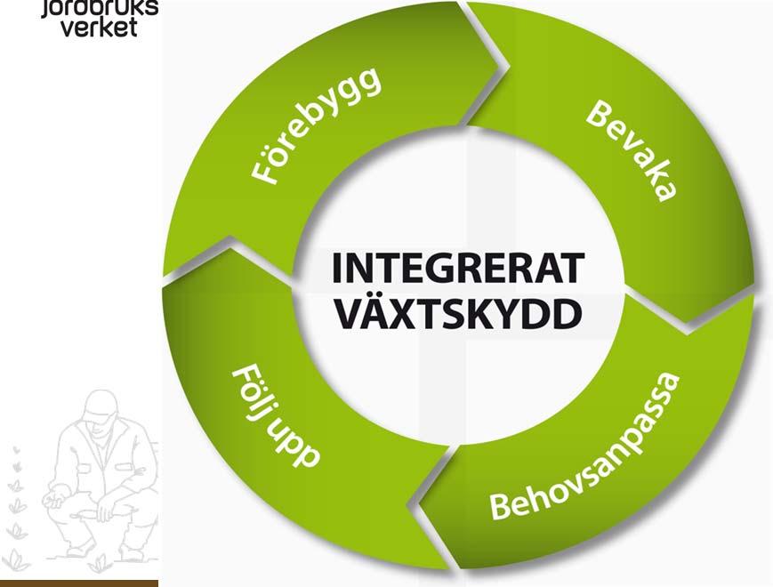 Hur får man mer information om Integrerat växtskydd?