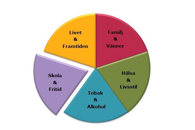 SKOLA & FRITID 1. Har du någon fritidsaktivitet (som du gör varje vecka)?