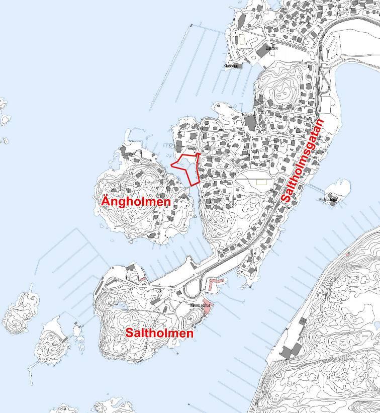 Planens syfte och förutsättningar Syfte Syftet med detaljplanen är att uppföra en allmän gångförbindelse med gångväg och brygga mellan Ängholmsbron och Styrbordsgatan för att säkerställa allmänhetens