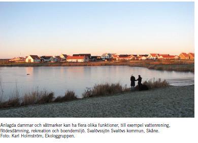 Avskiljning av mikroplatser jämfört med näringsämnen från reningsverk Näringsämnen avskiljs både bakteriellt och kemiskt från vattenfas och partiklar avskiljs ofta med sedimentation Studier visar att