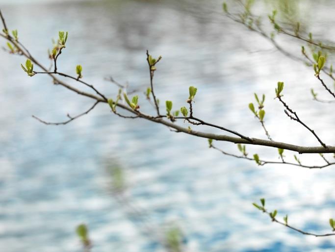 INLEDNING Alla behöver vatten och vi har ett gemensamt ansvar att se till att även framtida generationer kan ta del av det fina vatten som vi idag har i Älvdalen.