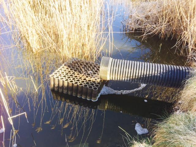 Den 3 maj 2017, hämtades BIO-BLOK med utvecklad biofilm, från våtmarken på Djupdalens avfallsanläggning.