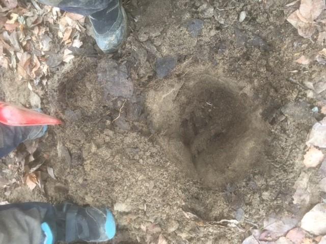 Bilaga 2.2 DOKUMENTATION AV PROVGROPSUNDERSÖKNING ALLMÄN INFORMATION Projekt Hulebäck 1:116 m.fl. Schaktutrustning Spade Topografi Lätt västlig lutning.