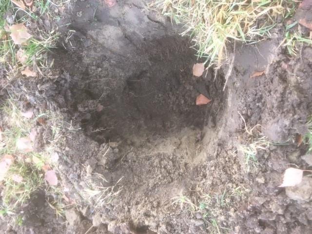 Bilaga 2.2 DOKUMENTATION AV PROVGROPSUNDERSÖKNING ALLMÄN INFORMATION Projekt Hulebäck 1:116 m.fl.