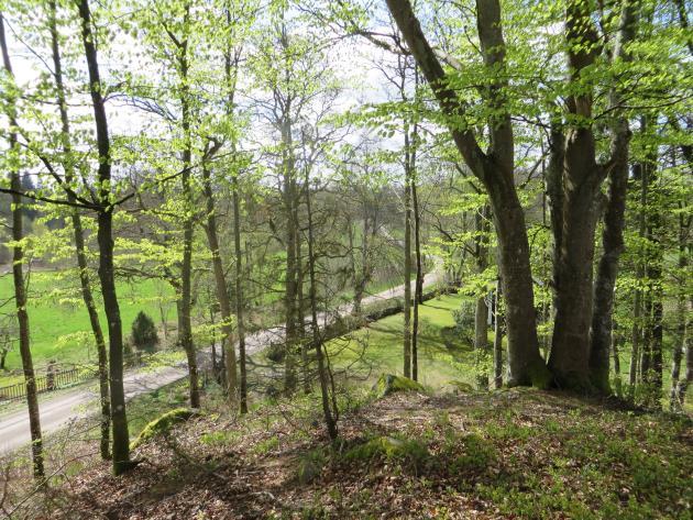 Från Jungfrukullen har man vid utblick över