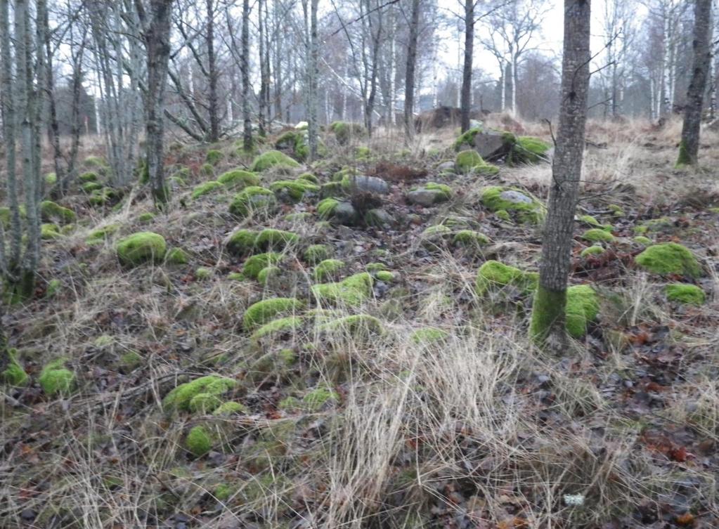 Arkeologisk utredning inom fastigheterna Vektorn 1 och