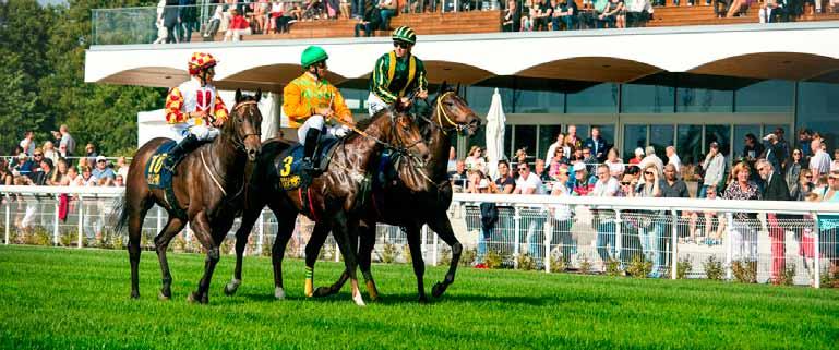 TÄVLINGSDAGAR PÅ BRO PARK 2018 OKTOBER 18 torsdag 18:00 ST LEGER 31 onsdag 12:20 Lunchgalopp NOVEMBER 5 måndag 18:00 SONGLINE CLASSIC 7 onsdag 12:20 Lunchgalopp 18 söndag 12:45 21 onsdag 12:20