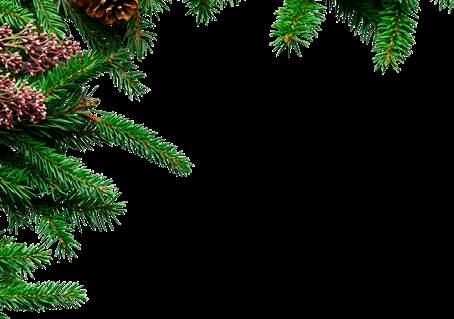 JULSKINKA Jokkmokk.