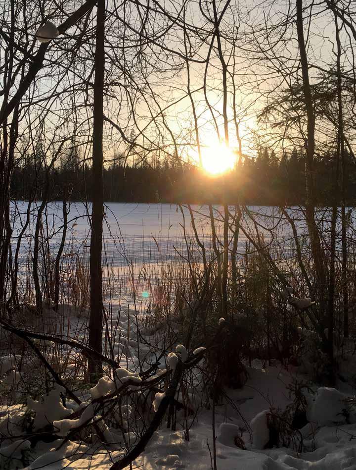 TEOLOGISKA INSTITUTET I FINLAND
