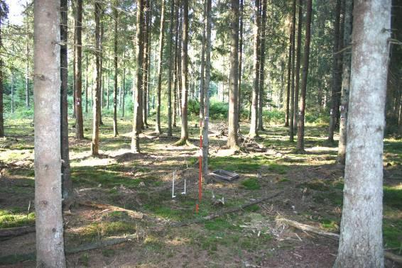 2.1.3 Försök 278 Skogaryd Försök 278 Skogaryd är beläget mellan Uddevalla och Trollhättan (Tabell 1). Vid anläggningen dominerades försöksbeståndet av ca 60-årig gran (Picea abies (L.) Karst.). Vegetationstypen klassificerades som granskog av lågört-typ (Påhlsson 1998).