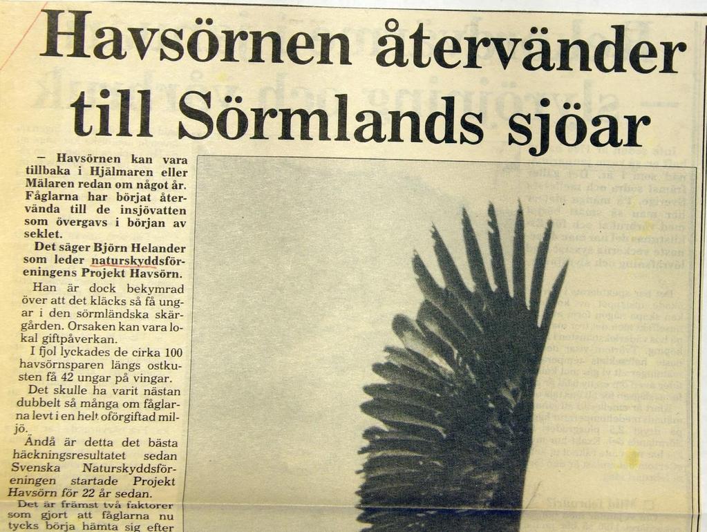 Dagblad