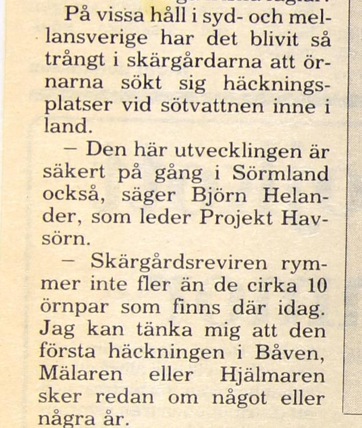Folket