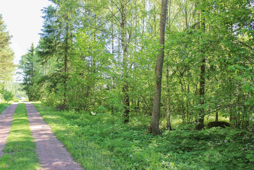 Tomt för bostadshus i Gölby med sjöglimt Denna fina tomt om 2 000 m2 är belägen på Tingsgränd 40 i Gölby, Jomala. Den har ett idylliskt och naturnära läge.